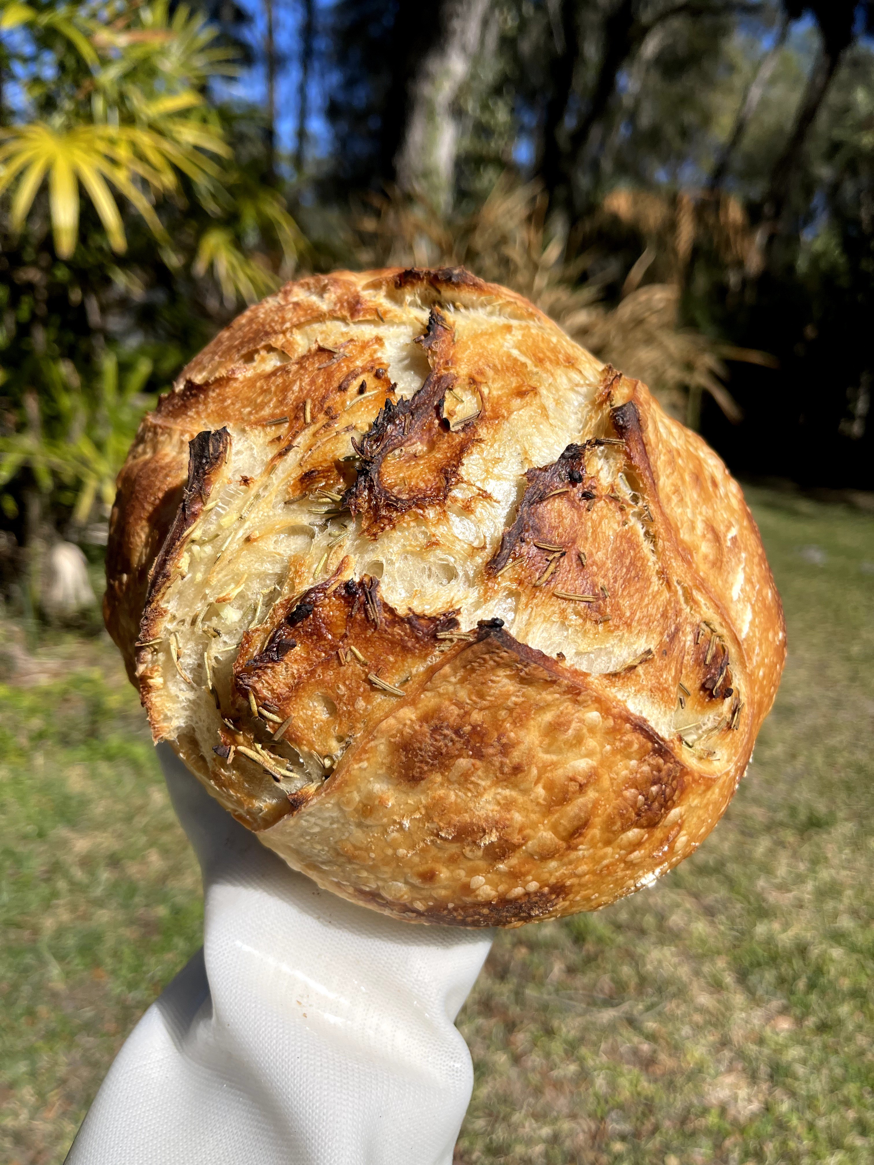 Person holding a round, golden-brown pastry outdoors with trees and grass in the background.