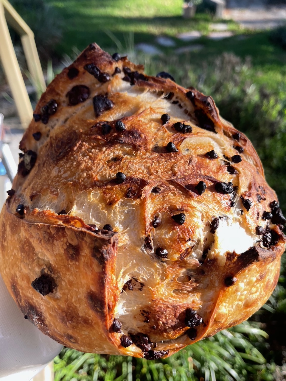 Baked bread with chocolate chips, partially sliced, outdoors with greenery in the background.