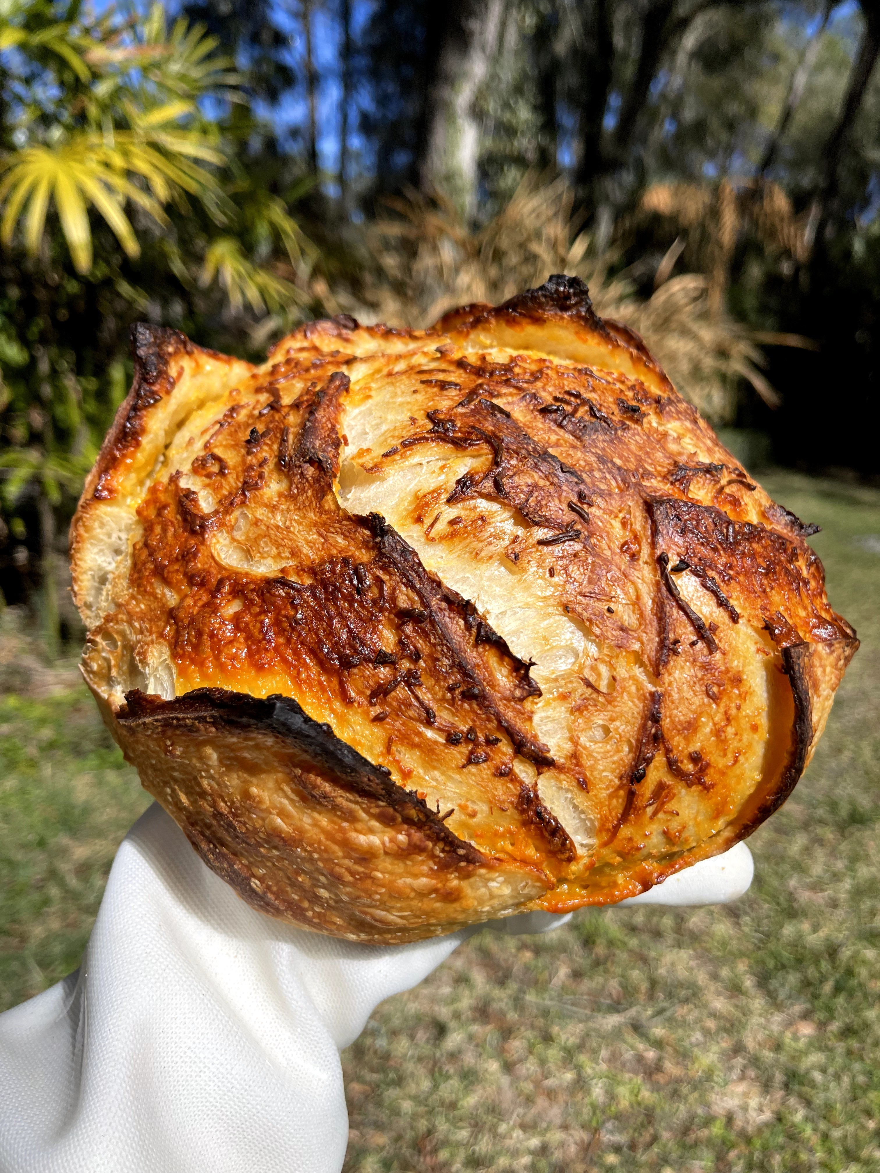 Person holding a large, baked pastry outdoors with trees and plants in the background.