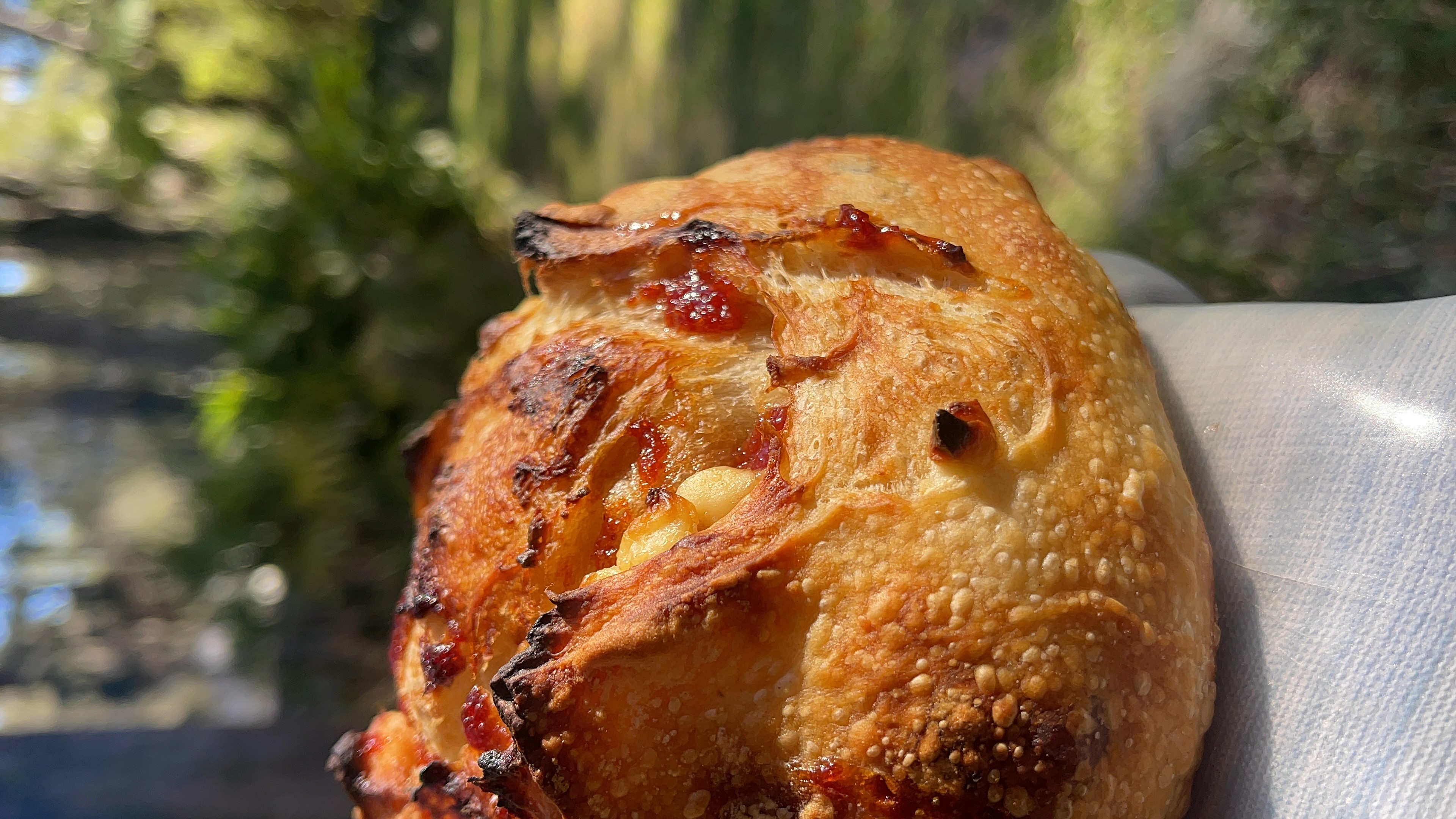 Close-up of a baked pastry with a golden-brown crust, outdoors with blurred greenery in the background.