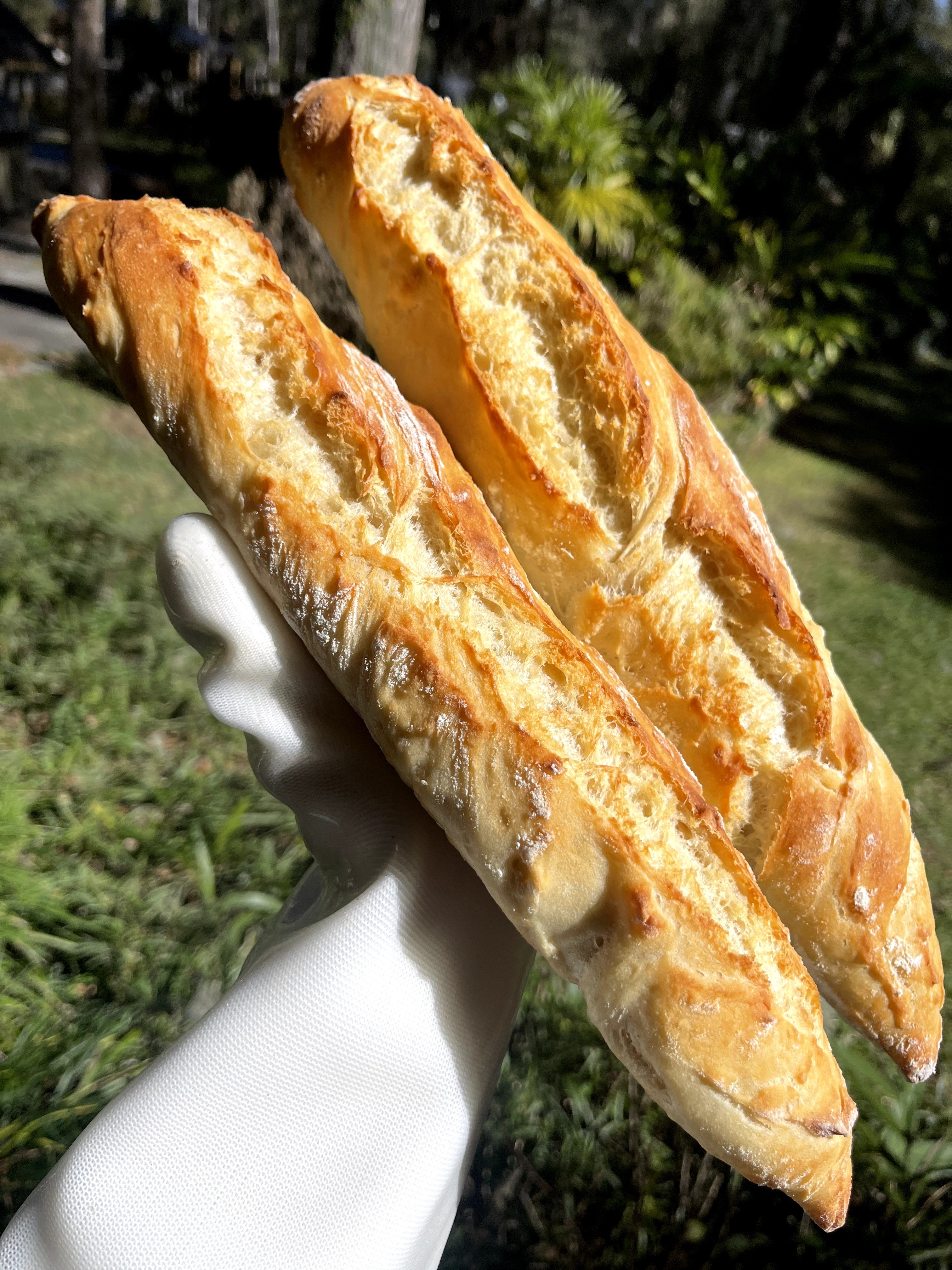 Person holding two baguette sandwiches outdoors with green foliage in background.