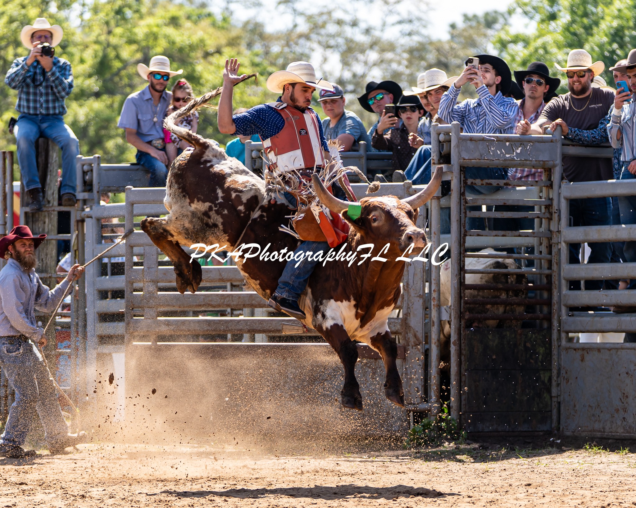 Person riding a bucking bull at a rodeo, surrounded by spectators, dust rising on dirt ground.