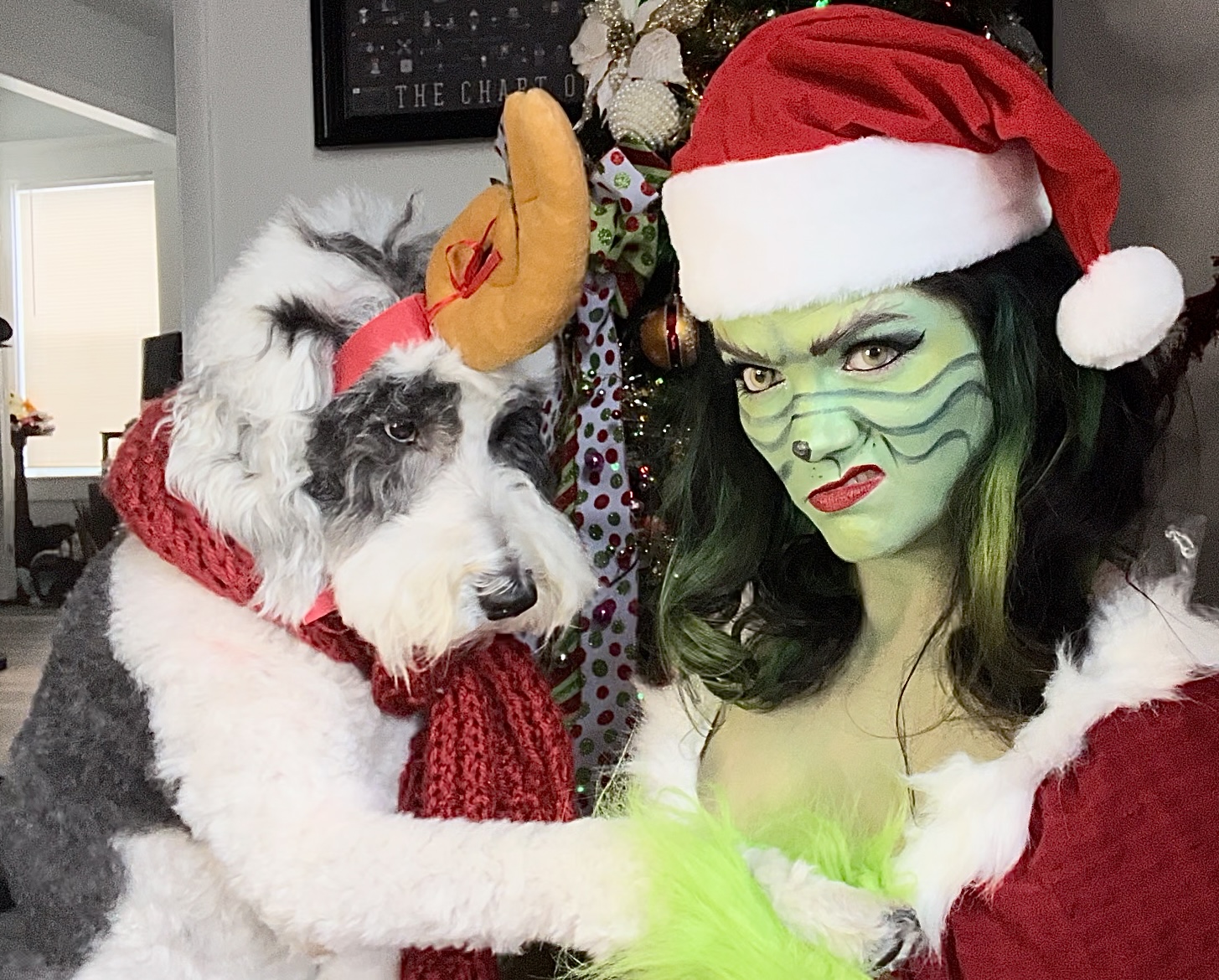 Person dressed as a Christmas character with green face paint and a Santa hat, with a dog wearing reindeer antlers and a red scarf, in front of a decorated Christmas tree.